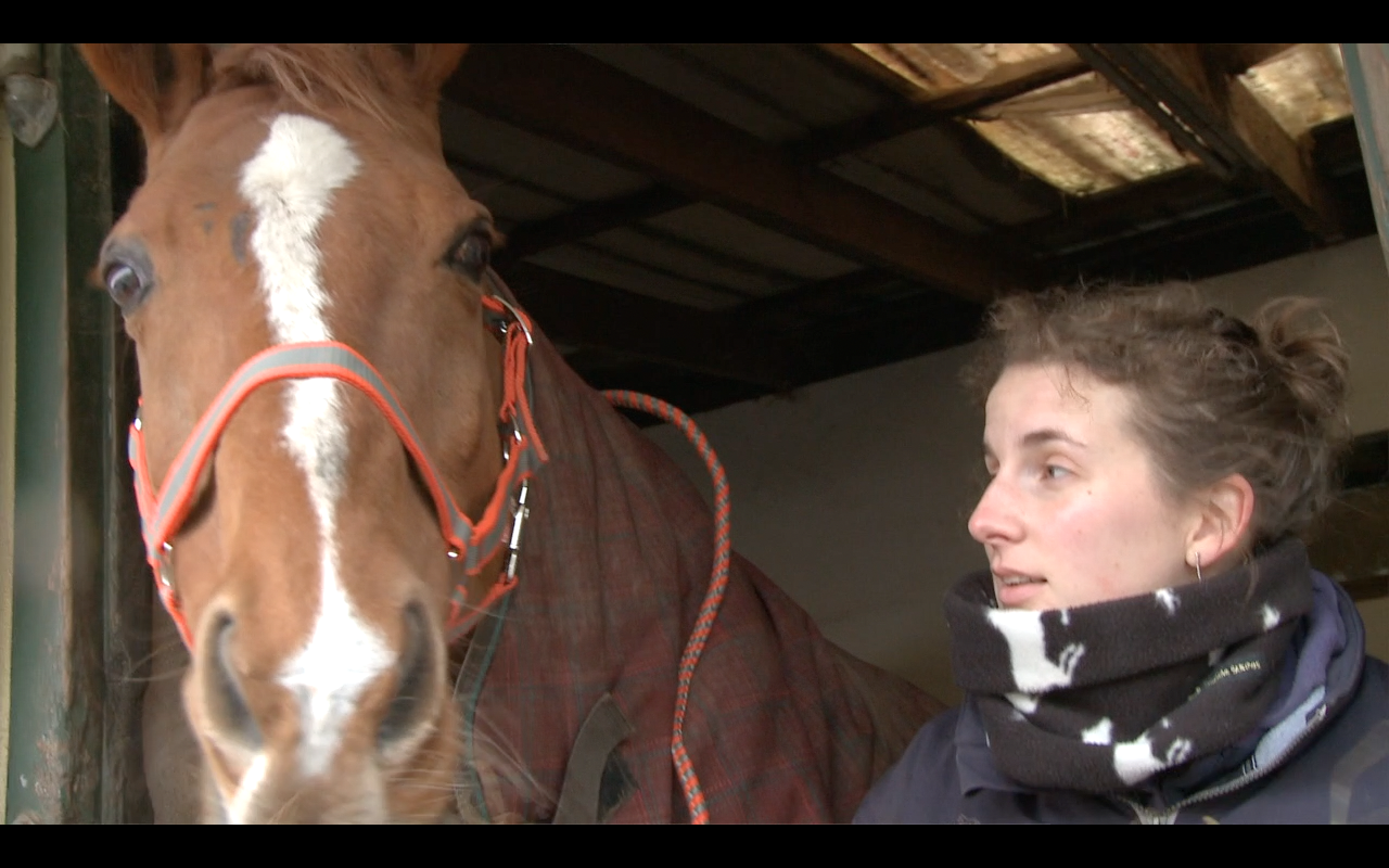 Emma Cahill, Recycled Equestrian Film