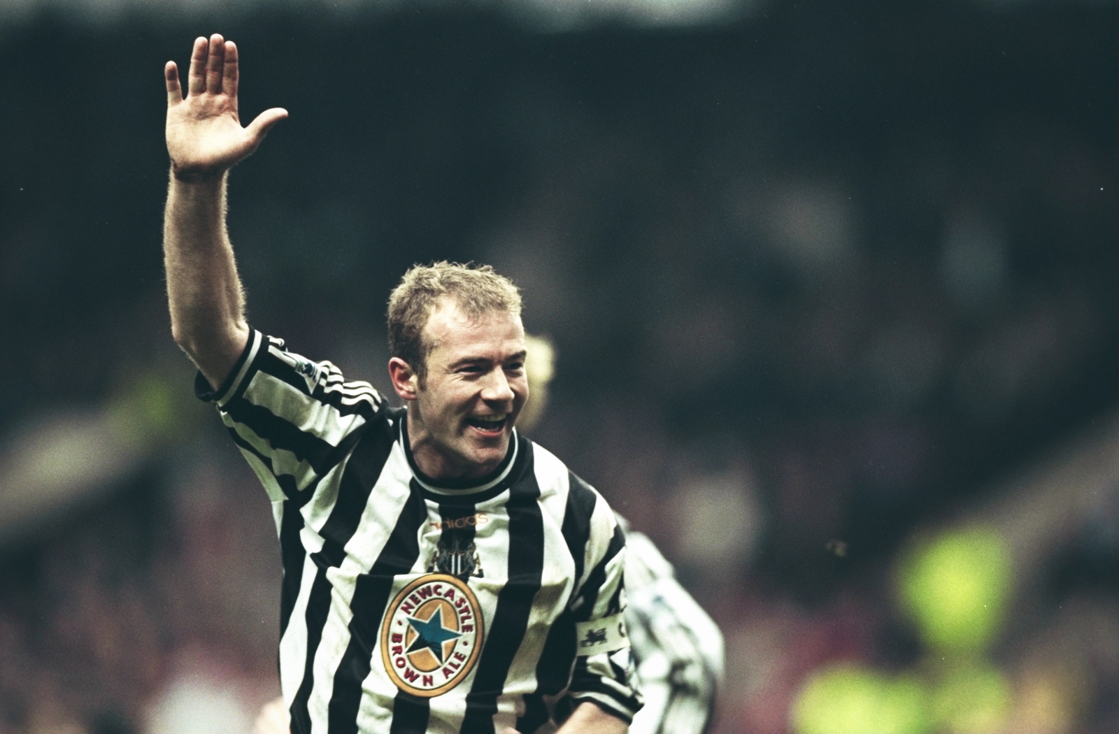 shearer2