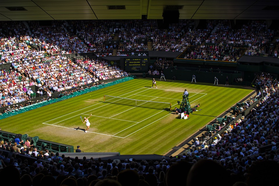 wimbledon-2983451_960_720