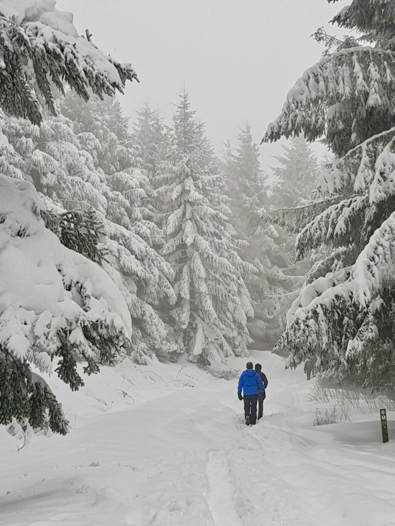 Hiking for beginners